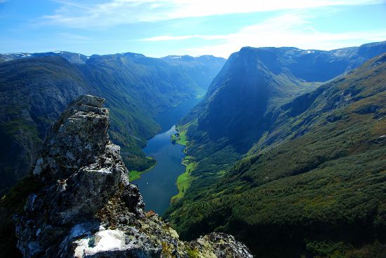 Розовый рассвет 